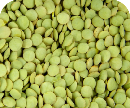 Lentils